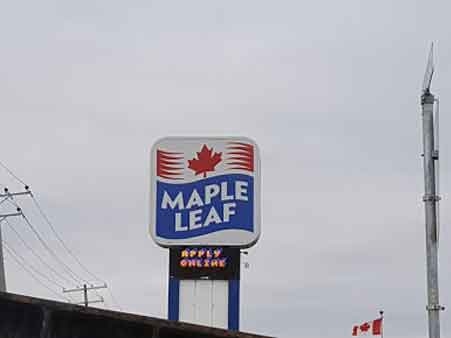 Maple Leaf Plant (Panet Road)